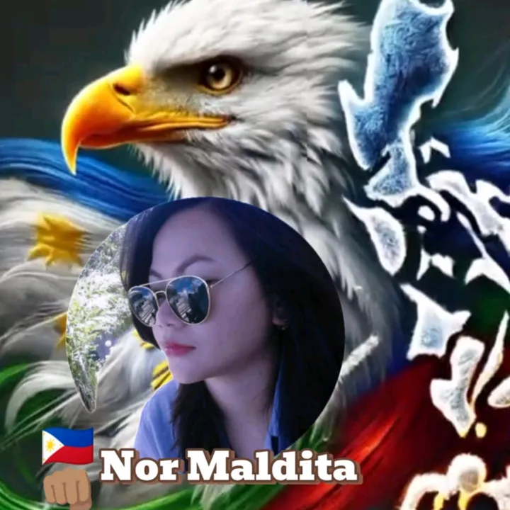 🇵🇭🦅Nor🏳️‍🌈🦅Maldita🇦🇪💚