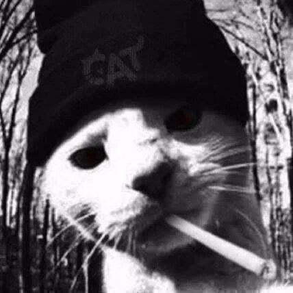 ꯱ׁׅ֒☦︎︎