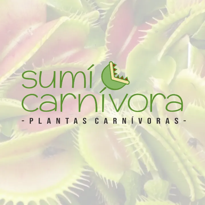 Sumicarnivora