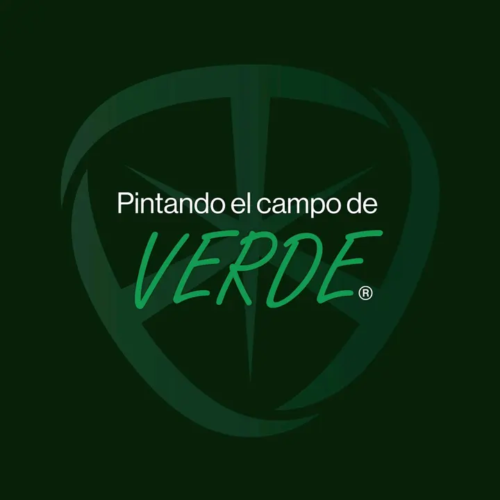 Temisa Oficial