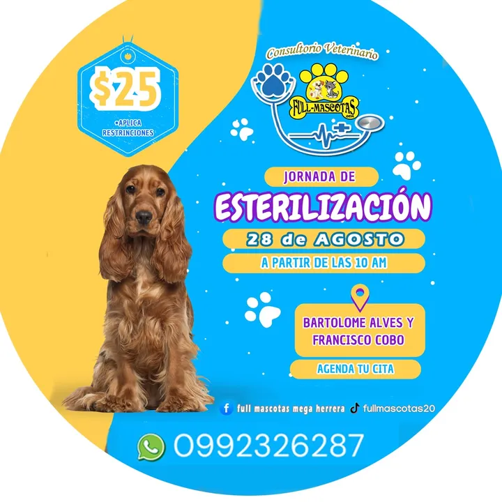 🐾⭐FULL MASCOTAS 🐕🐈