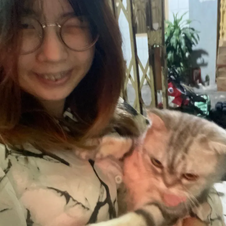 Stupid the cats and my life