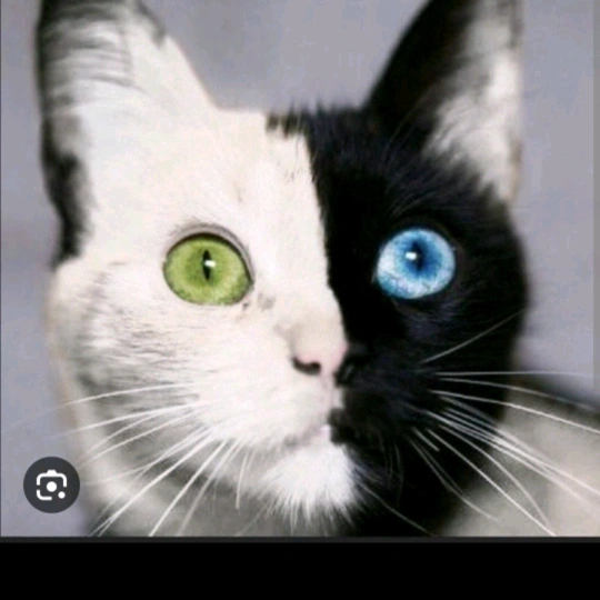 守护善良的台湾，守护民主之光👍🙏