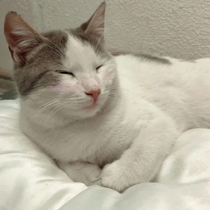 SOZAN MAGHDİDİ💐