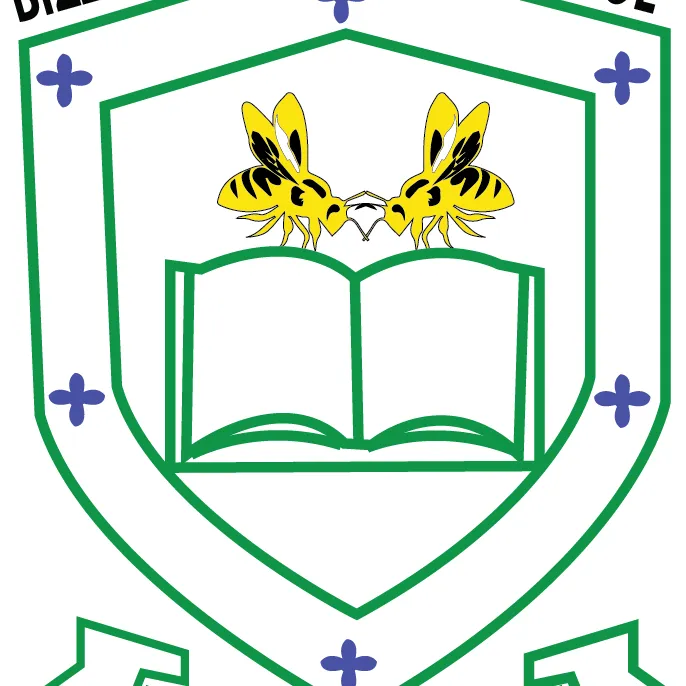 BIZZY BEES NURSERY &PRI SCHOOL