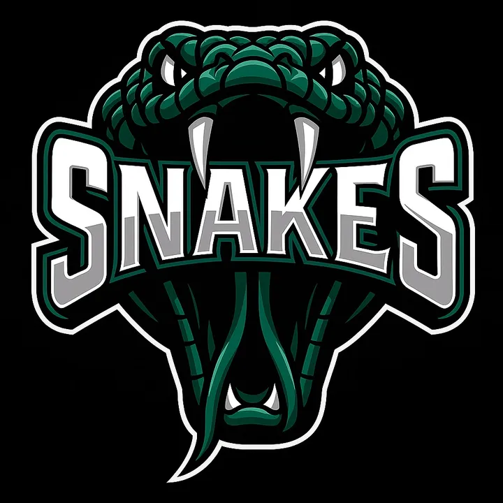 Snakes | Cheer Team 🐍