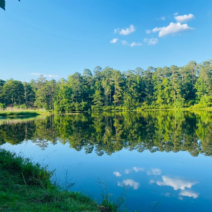 こんにちは、元気ですか