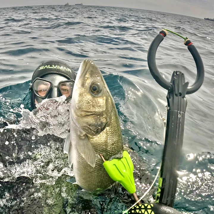 in_the_mood_for_wonder