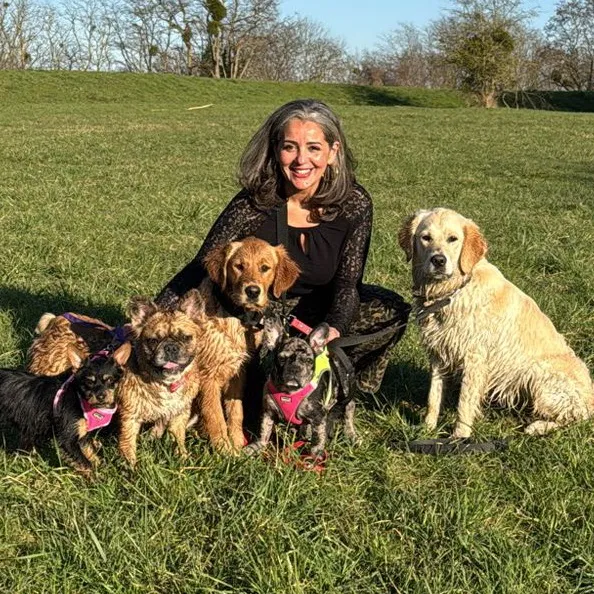 ma merveilleuse meute