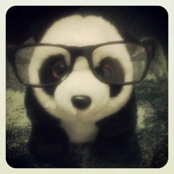 Panda Asmr 🐼⭐️