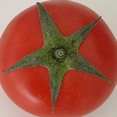 🍅
