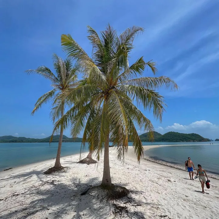 thailand_traveller
