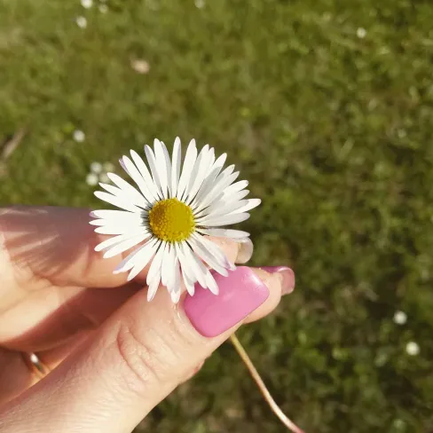 🎀Sere Nella Blog🎀