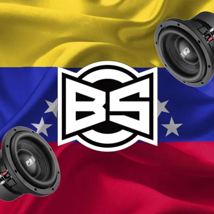 The Bestia