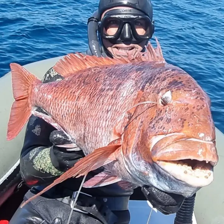 Enriqueestrechopescasub