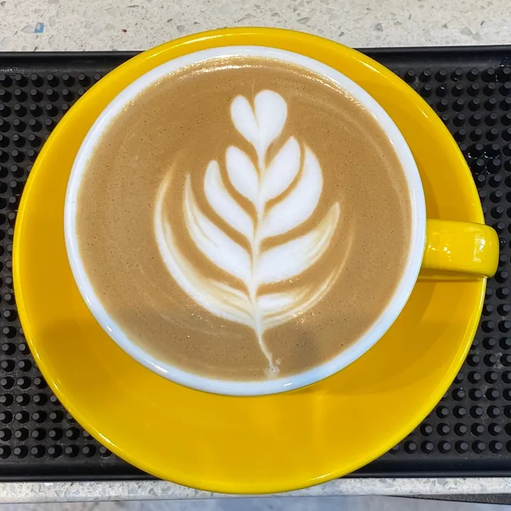 Helo Kopi