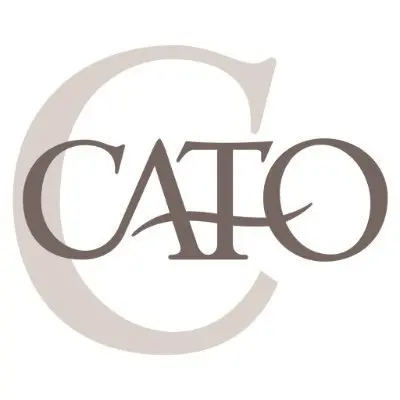 Cato 539