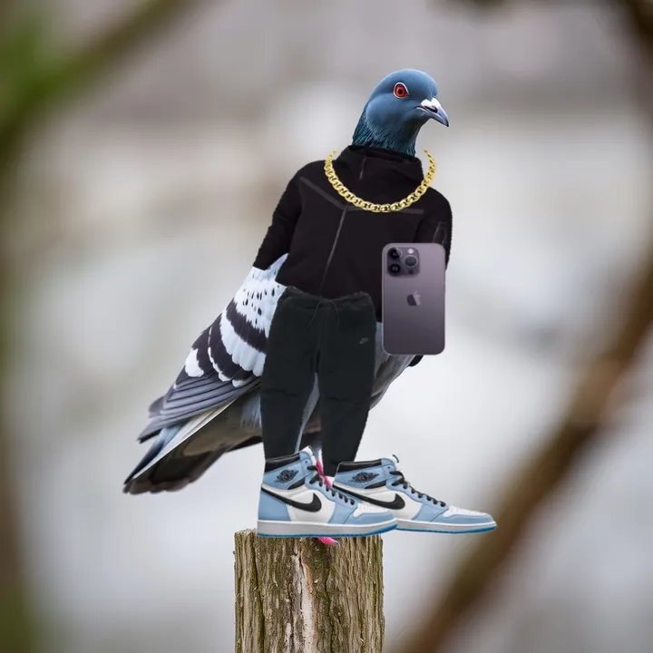 Pigeon_7☺︎︎