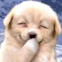 PetPerson
