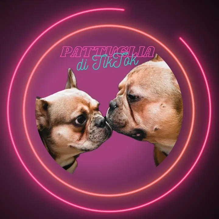 Harley & Marvel The Frenchies