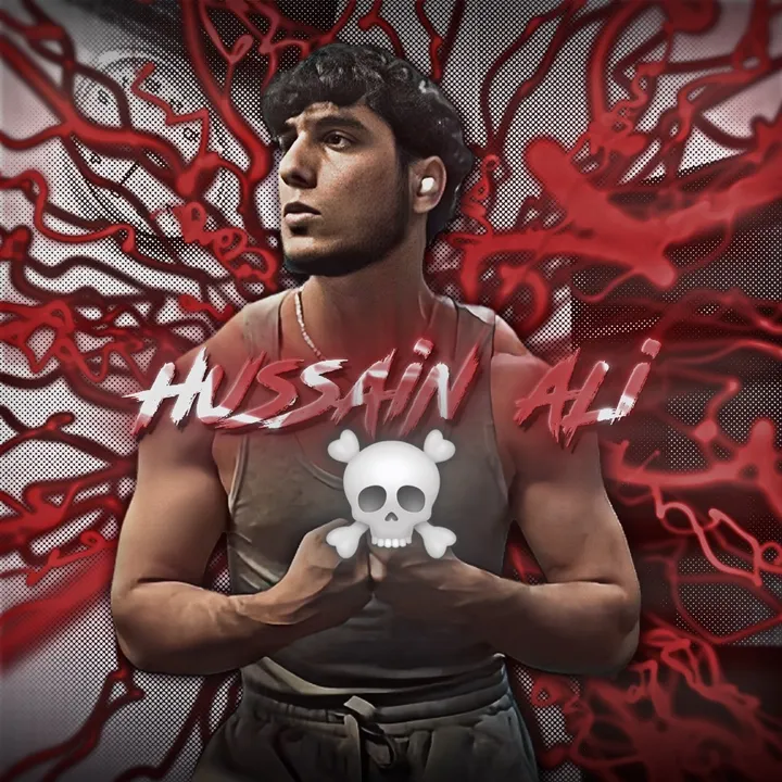 hussainproject