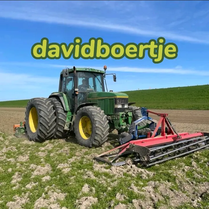 Davidboertje