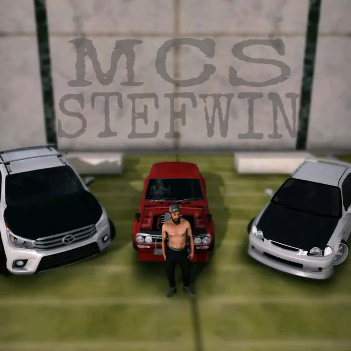 MCS STEFWIN