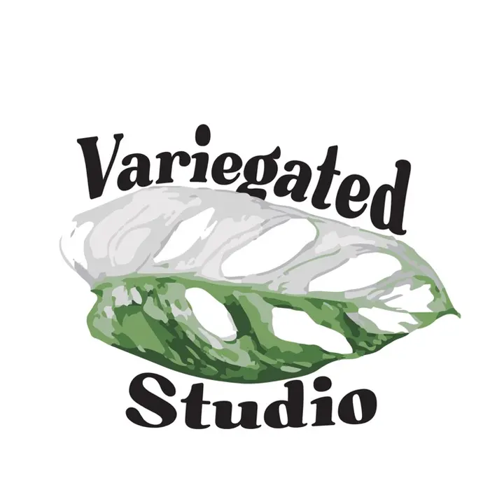 Variegated Studio
