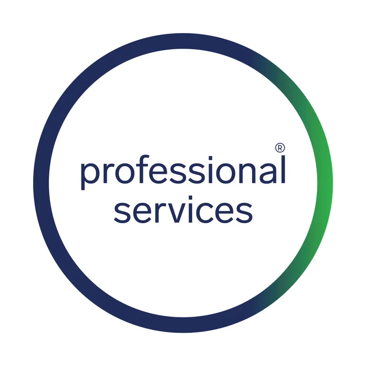 professional services