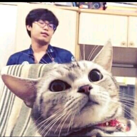 ไปเรื่อยๆๆๆ