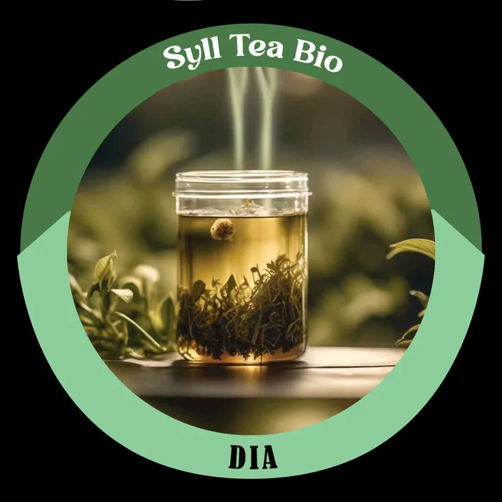 SyllTeabio