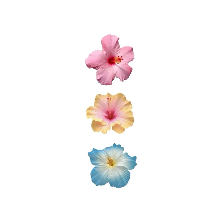 🏝️🌺🧁