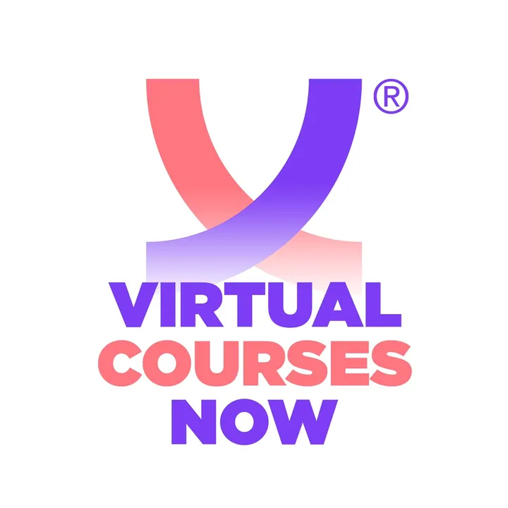 Virtualcoursesnow