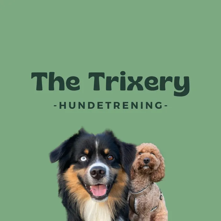 The Trixery