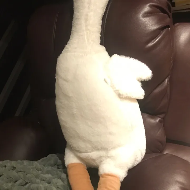 Jiao jiao