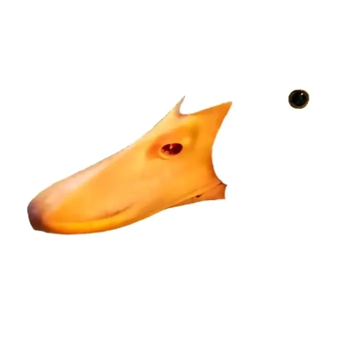 AngryDuck