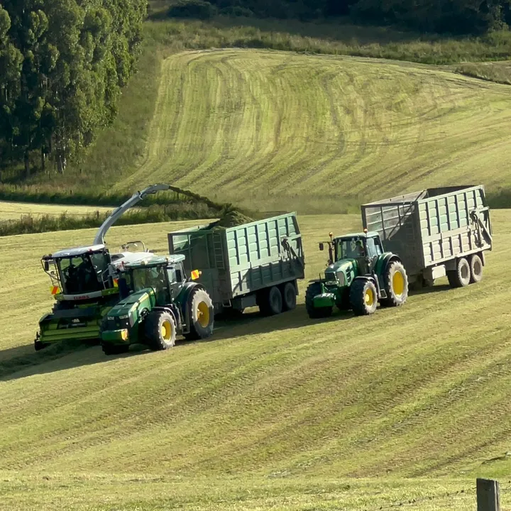 🐏🚜RowanB🚜🐏