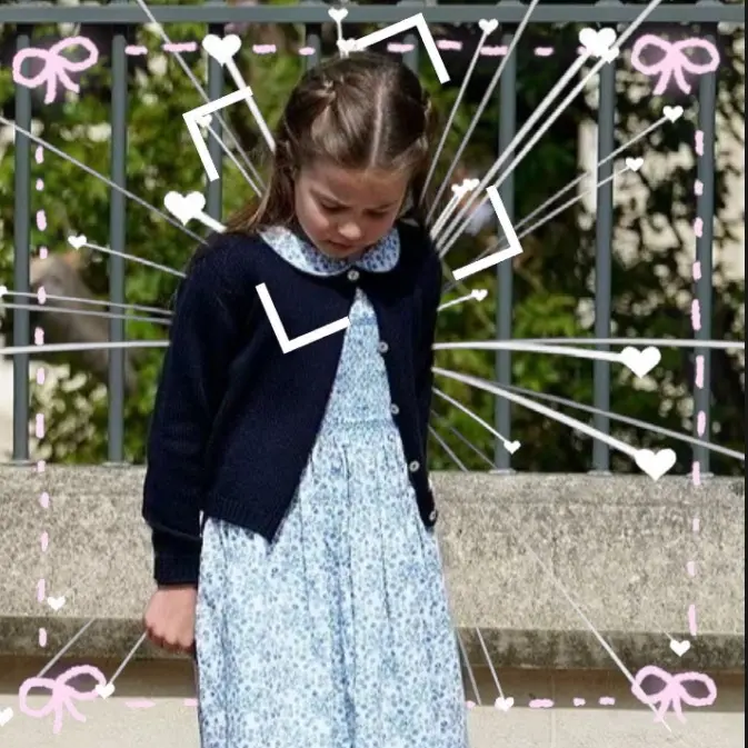 lottie•clips