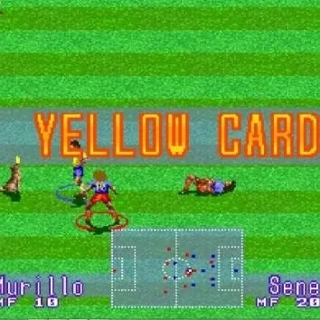 Todo es cancha