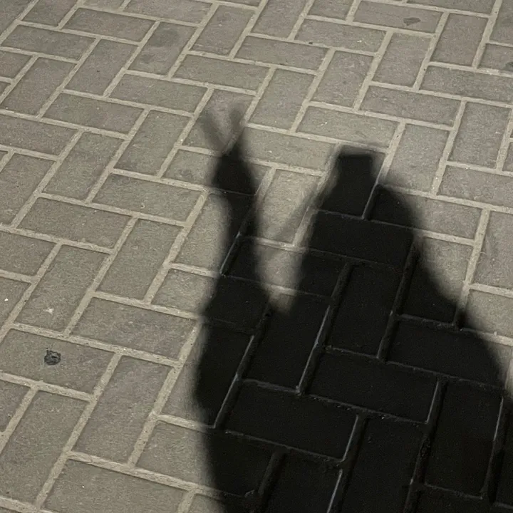 Aa.