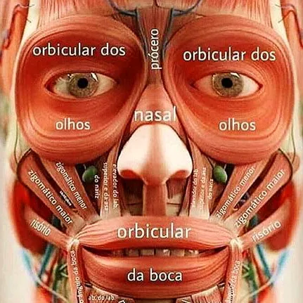 Drcuevas