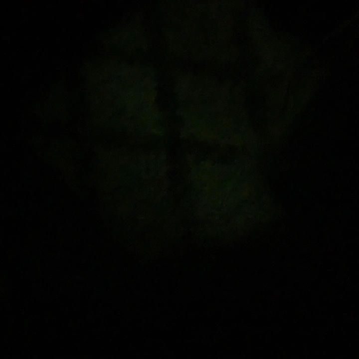 ahmdsyz_