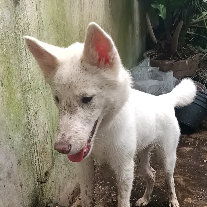 Huskal&Me
