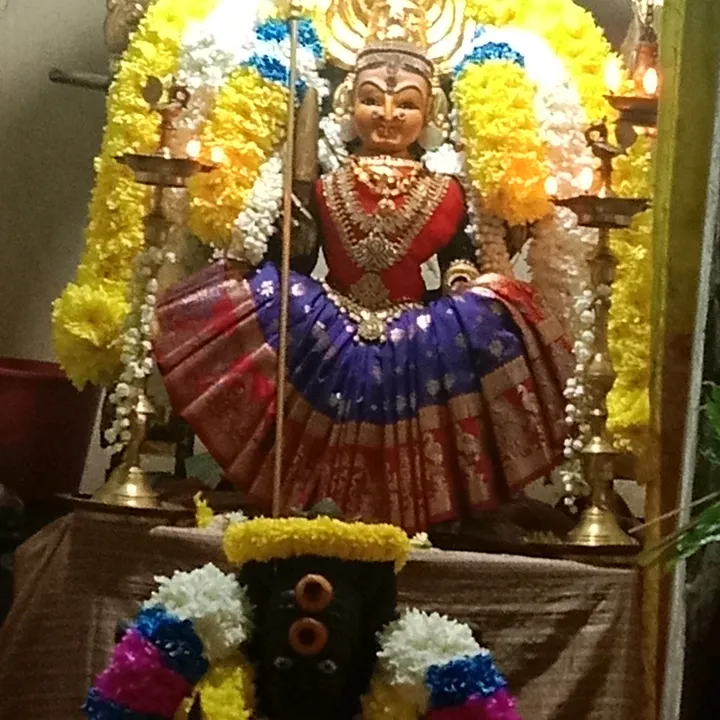 Amma Collection19
