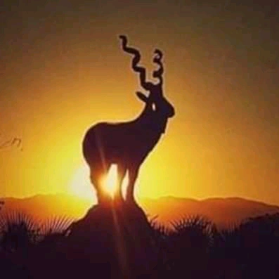 🇵🇰🇸🇦Waris khan 🇸🇦🇵🇰💖