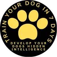 DD Dog Training