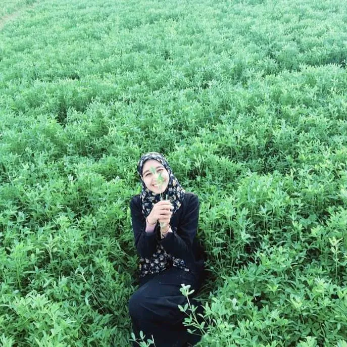 م/منه الله سمير