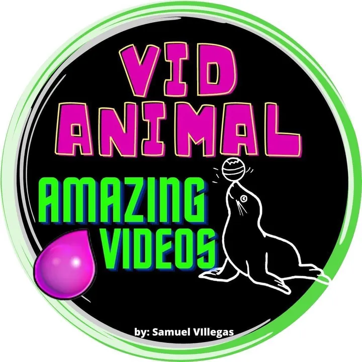Vid Animal