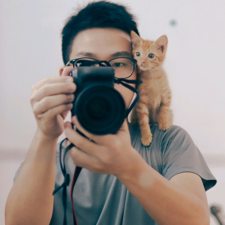 CY l Pawtnership Cat & Coffee