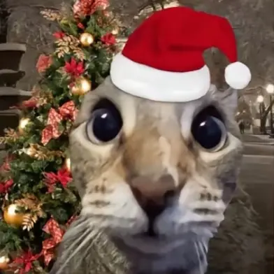 🇩🇪🇲🇵🇨🇻🇻🇦🇹🇬🇸🇸🇨🇾